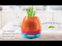 youtube - [Video]