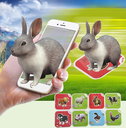 MH424184 005.webp