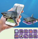 MH424184 004.webp