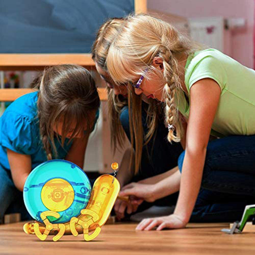 MH595477_02.webp
